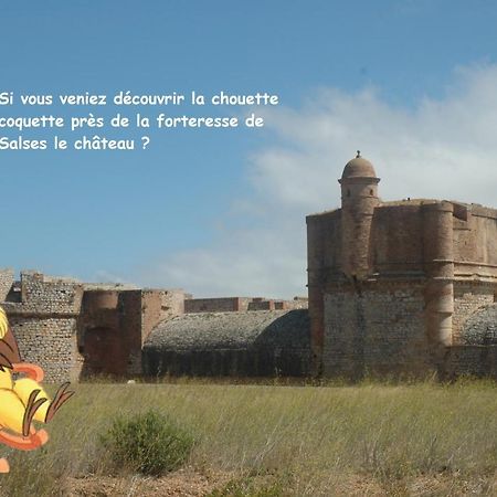 Vila Chouette Coquette Salses-le-Chateau Exteriér fotografie